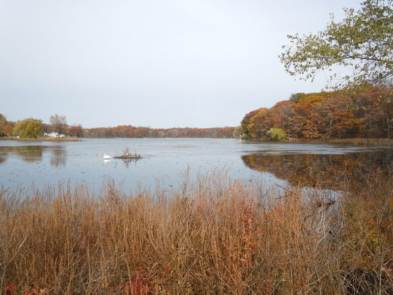 Grass Lake White Lake Twp Oakland County lakes MI